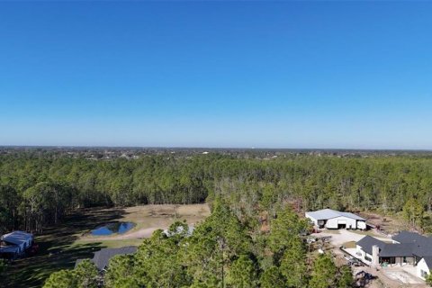 Land in New Smyrna Beach, Florida № 1522688 - photo 2