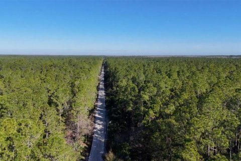 Land in New Smyrna Beach, Florida № 1522688 - photo 4