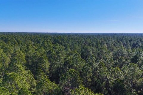 Land in New Smyrna Beach, Florida № 1522688 - photo 7