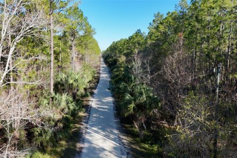 Land in New Smyrna Beach, Florida № 1522688 - photo 5