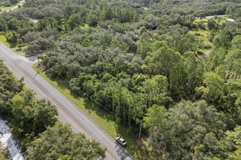 Land in Frostproof, Florida № 1807227 - photo 8