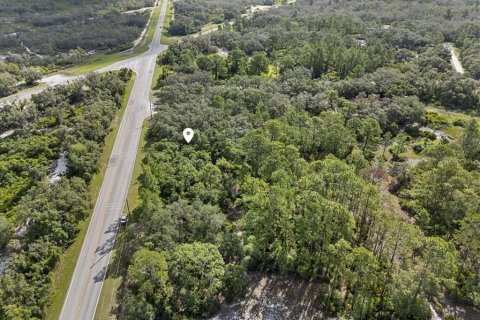 Land in Frostproof, Florida № 1807227 - photo 6