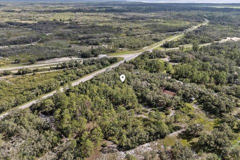 Land in Frostproof, Florida № 1807227 - photo 5