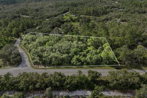 Land in Frostproof, Florida № 1807227 - photo 3