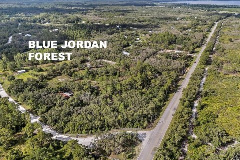Land in Frostproof, Florida № 1807227 - photo 4