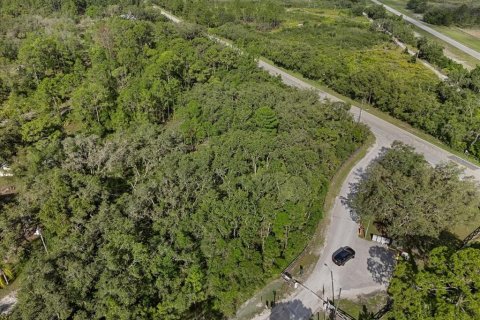 Land in Frostproof, Florida № 1807227 - photo 9