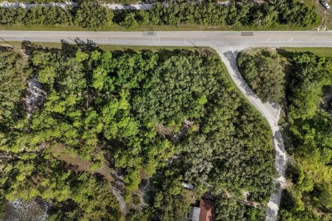 Land in Frostproof, Florida № 1807227 - photo 19