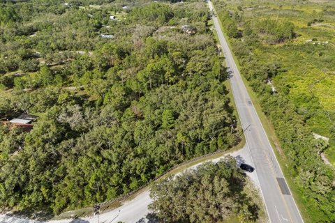 Land in Frostproof, Florida № 1807227 - photo 10