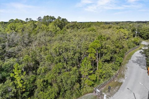 Land in Frostproof, Florida № 1807227 - photo 11
