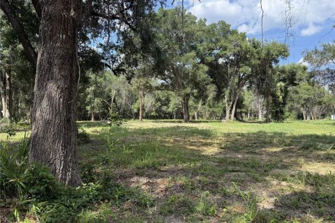Land in Geneva, Florida № 2231796