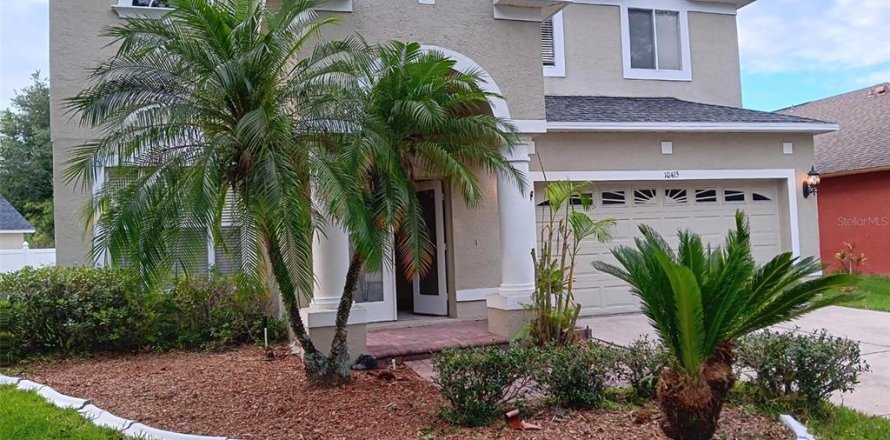 House in Tampa, Florida 4 bedrooms, 274.9 sq.m. № 2234205