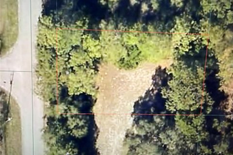 Land in Ocala, Florida № 2164901 - photo 3