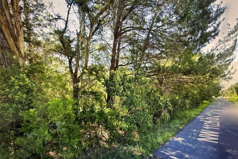 Land in Ocala, Florida № 2164901