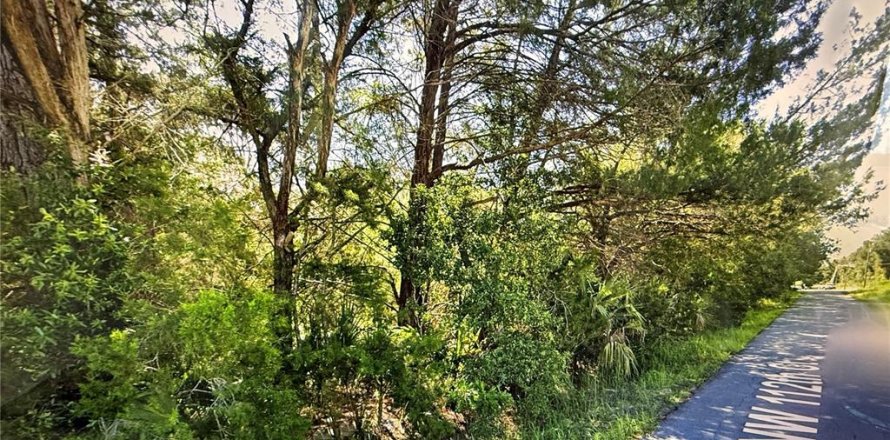 Land in Ocala, Florida № 2164901