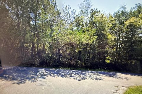 Land in Ocala, Florida № 2164901 - photo 2