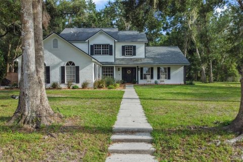 House in Riverview, Florida 4 bedrooms, 248.33 sq.m. № 1919489 - photo 3
