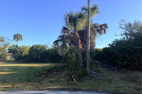 Land in Rotonda, Florida № 2161011 - photo 3