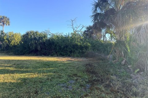 Land in Rotonda, Florida № 2161011 - photo 2