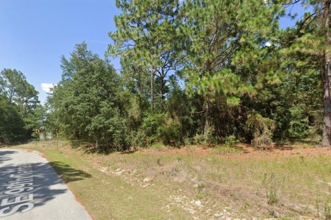 Terreno en venta en Belleview, Florida № 1568777 - foto 7