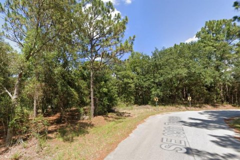 Terreno en venta en Belleview, Florida № 1568777 - foto 6