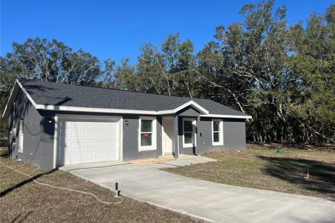 Villa ou maison à vendre à Ocklawaha, Floride: 3 chambres, 102.84 m2 № 1785466 - photo 2