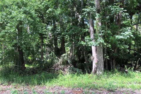 Land in Kissimmee, Florida № 1616903 - photo 6
