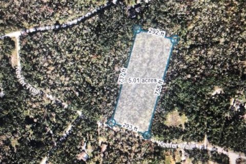 Land in Kissimmee, Florida № 1616903 - photo 7