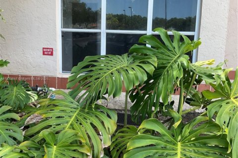 Снять в аренду кондоминиум в Маргит, Флорида 1 спальня, 66.15м2, № 1962611 - фото 5