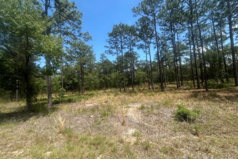 Land in Dunnellon, Florida № 1146058 - photo 1