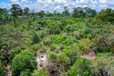 Terreno en venta en Lake Placid, Florida № 2212100 - foto 6