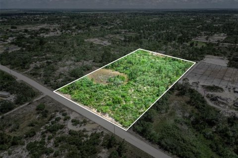 Terreno en venta en Lake Placid, Florida № 2212100 - foto 4