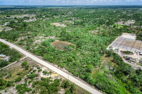 Terreno en venta en Lake Placid, Florida № 2212100 - foto 5