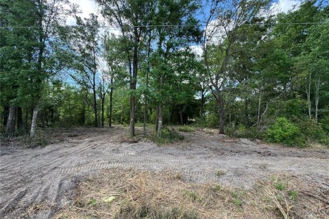 Terrain à vendre à Ocala, Floride № 1629223 - photo 15