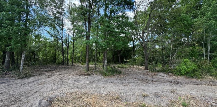 Terrain à Ocala, Floride № 1629223