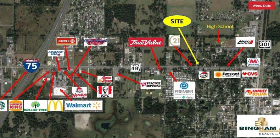 Land in Bushnell, Florida № 1638011