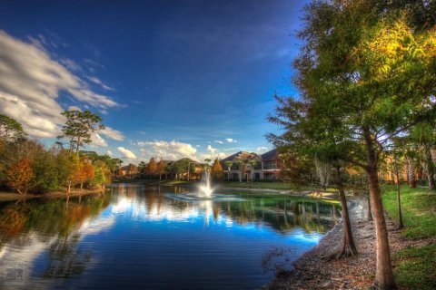 Condominio en alquiler en Palm Harbor, Florida, 1 dormitorio, 75.9 m2 № 1906057 - foto 17