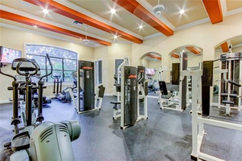 Condominio en alquiler en Palm Harbor, Florida, 1 dormitorio, 75.9 m2 № 1906057 - foto 3