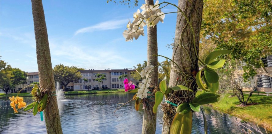 Condo in Lauderdale Lakes, Florida, 1 bedroom  № 1068221