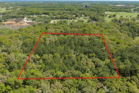 Land in Ocala, Florida № 2108174
