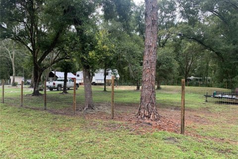 Terreno en venta en Webster, Florida № 1311566 - foto 2