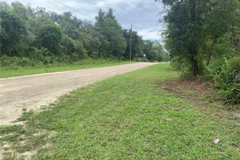 Terreno en venta en Webster, Florida № 1311566 - foto 8