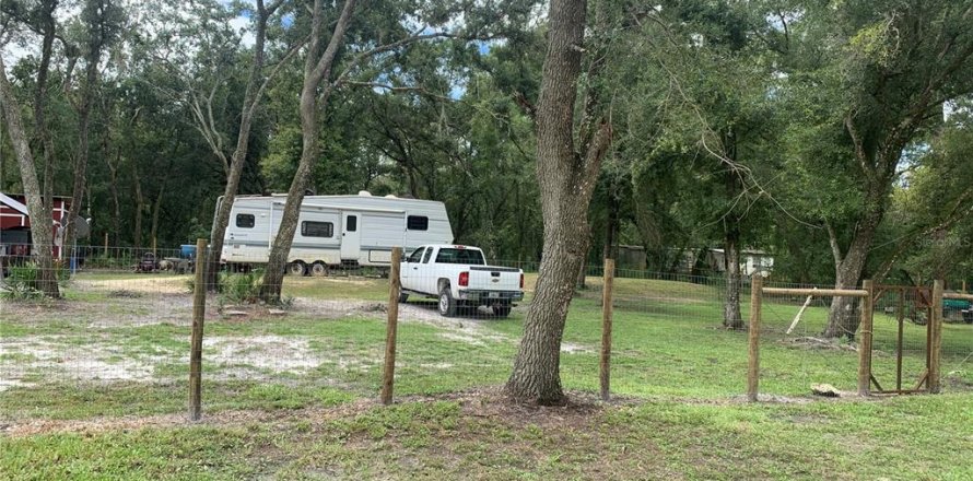 Terreno en Webster, Florida № 1311566