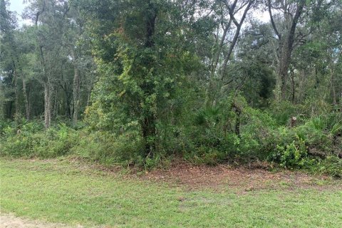 Terreno en venta en Webster, Florida № 1311566 - foto 4