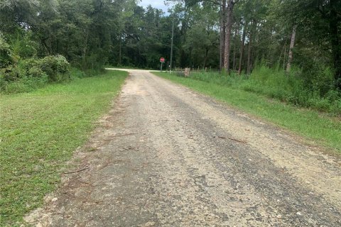 Terreno en venta en Webster, Florida № 1311566 - foto 9