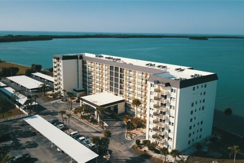 Condo in Dunedin, Florida, 2 bedrooms  № 2237877 - photo 2
