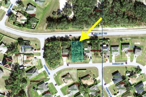 Land in Kissimmee, Florida № 1905389 - photo 3