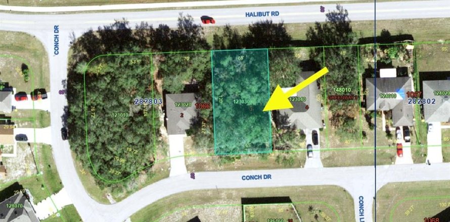 Land in Kissimmee, Florida № 1905389
