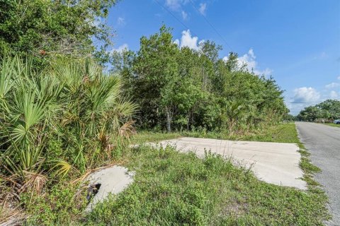 Land in Okeechobee, Florida № 1881001 - photo 2