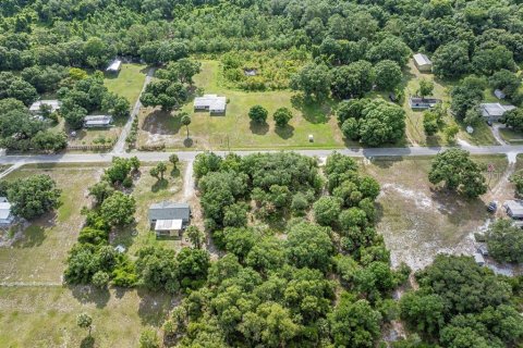 Land in Okeechobee, Florida № 1881001 - photo 16