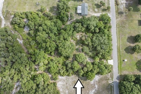 Land in Okeechobee, Florida № 1881001 - photo 12